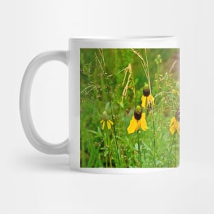 Glen Haven Wildflower Study 1 Mug